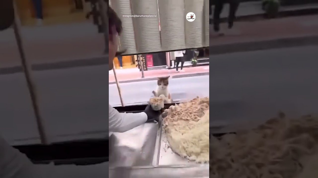 Sweetest shop owner ever.