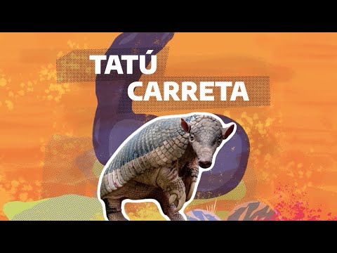 #FaunaNativa | Ep. 2 – Tatú carreta