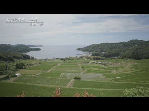 【佐賀県唐津市の風景：4K映像】駄竹の棚田 -早苗-（肥前町入野）