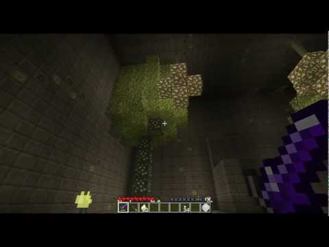 Minecraft Aether Mod Tour - Part 5 (Silver Dungeon)