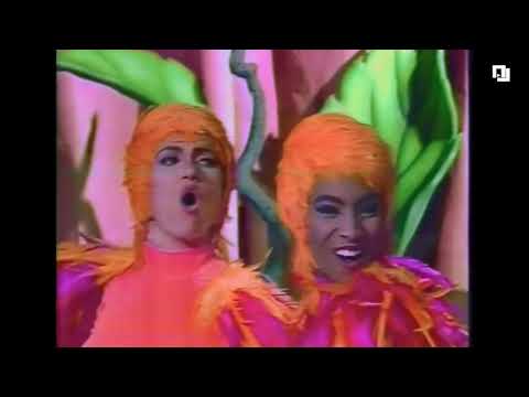 Passarinho, que som é esse? (Original Castelo Ra-Tim-Bum) [Vários Instrumentos]