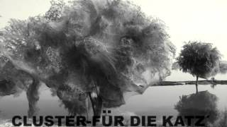 CLUSTER-fur die katz´.mpg