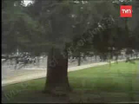 Calles y Avenidas - Carlos Silva Vildosola