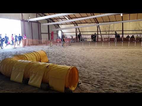 Kraft Agility Vizsga  - Joker