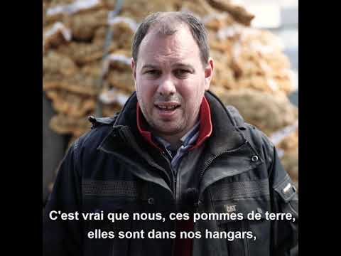 FSB Inside - Vente directe de pommes de terre