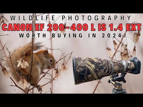 Video thumbnail for Video Review 1