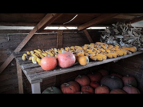 Tanyából otthon! 💚