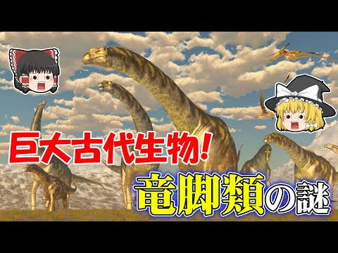 周皮竜類について詳しく解説