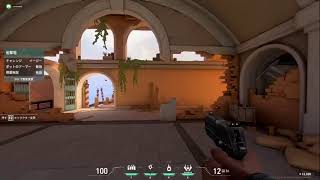 レインボーシックスシージランク配信　参加◎