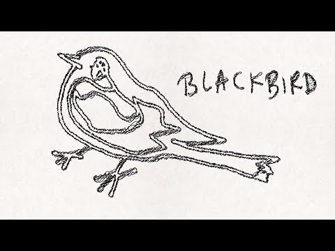 Sam Amidon - Blackbird