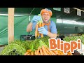 Blippi Learns Healthy Eating For Kids At Tanaka Farm Educational Videos For Toddlers