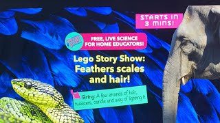 Lego Show: Feathers Scales and Hair!