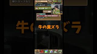 【誰？】イナズマイレブンにそんなキャラいるんですか？ #たかし #パズドラ