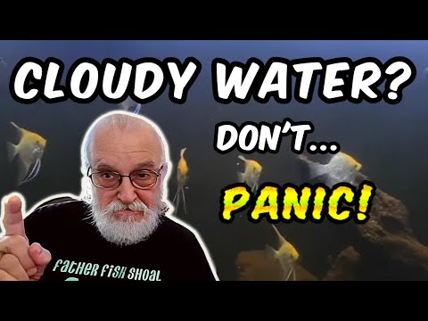 Ending the Mystery of Cloudy Water - Understand and Eliminate Cloudy Water Forever!