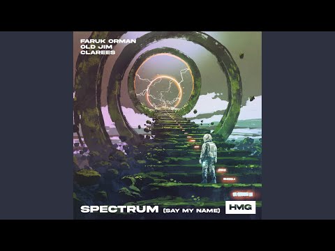 Spectrum (Say My Name)