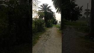 Download lagu Ya Rabbi Al Ameen 🤍 | Soothing Nasheed for Your Heart | Allahu Allah #IslamicVibes mp3 Download lagu Ya Rabbi Al Ameen 🤍 | Soothing Nasheed for Your Heart | Allahu Allah #IslamicVibes mp3