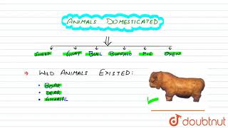 Subsistence Strategies | 12 | BRICKS, BEADS AND BONES | HISTORY | MICROCONCEPTS | Doubtnut