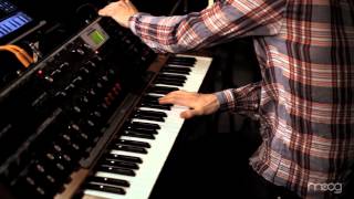 MUTEMATH - &quot;BLOOD PRESSURE&quot; (MOOG SOUND LAB)