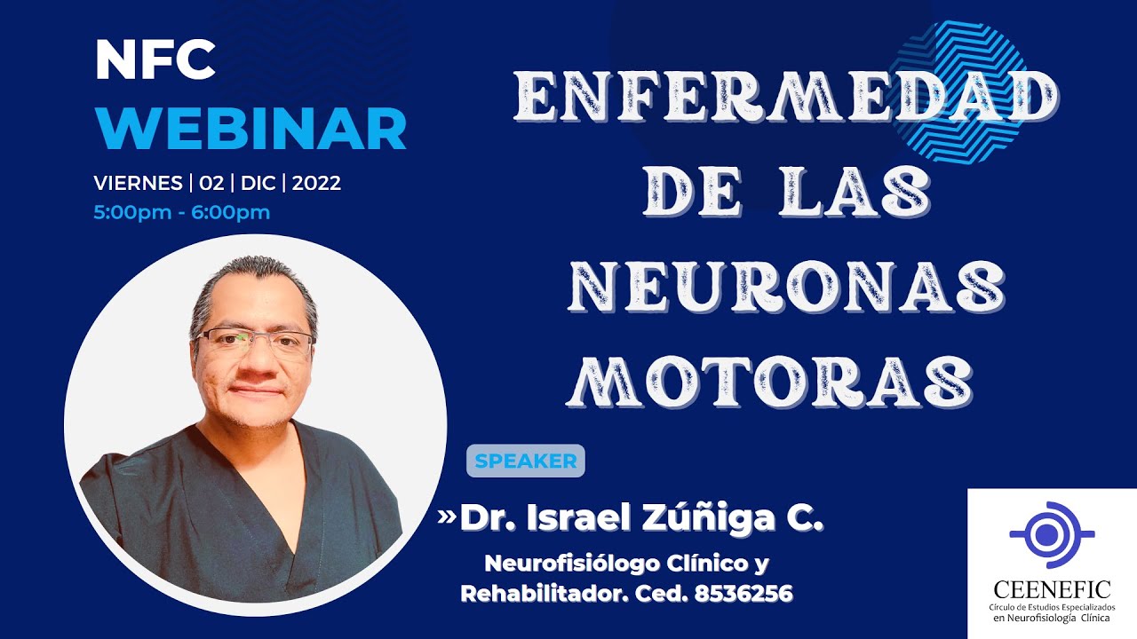 ¡CUIDADO, NO TODO ES ELA!