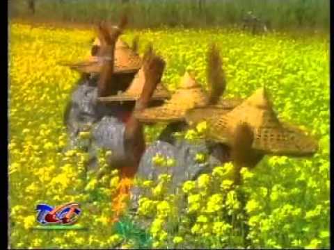download lagu mp3 mp4 Kau Kau Kau, download mp3 Kau Kau Kau free download, download mp3 Kau Kau Kau