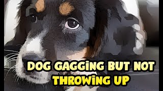 Dog Gagging But Not Throwing Up