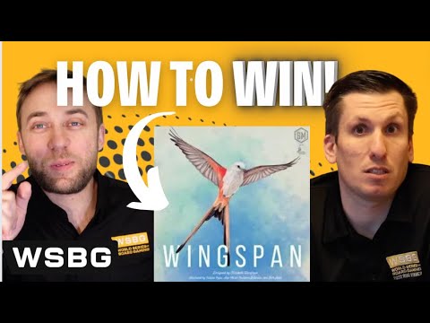How to Win Wingspan | Strategy Tips from a World Series Champion