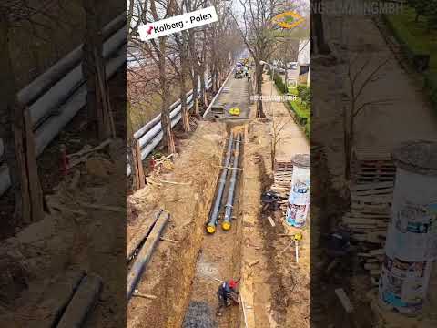 Baumschutz auf Baustellen im Ausland