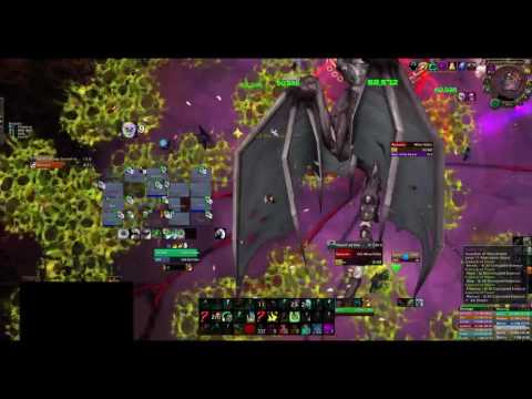 Dead Weight - Mythic Nythendra (Mistweaver PoV)