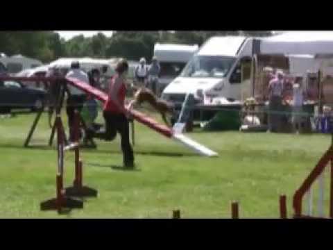 Scandal at Thames and Newton Heath