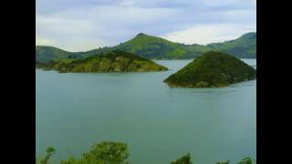 The Dead C - Mansions