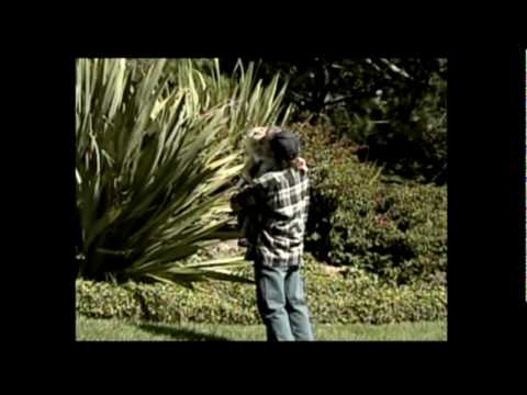 Deja Vu All Over Again