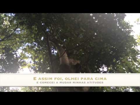 Retrospectiva 2014 (3ª parte)