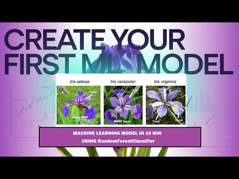 Iris Flower Classification With Machine Learning Beginner Python Step By Step Tutorial