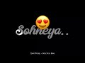 PAL PAL Black Screen Status Afusic Status Boi Pal Pal Jeena Muhal Black Screen Status