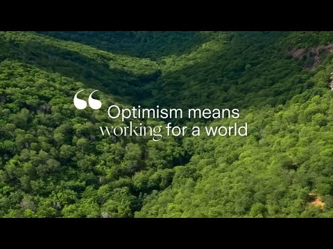 The Zurich Forest Project & Instituto Terra