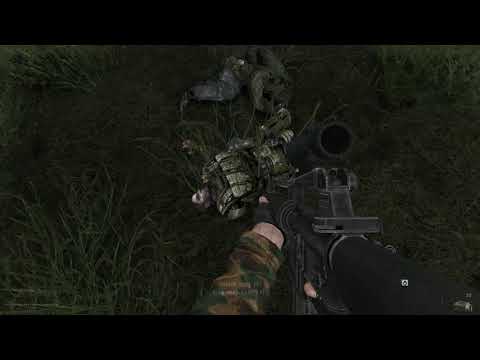 STALKER ANOMALY mod M16A2 optics test