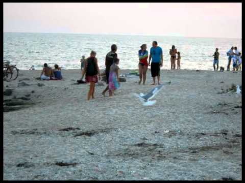 Maks Day - Trance In Our Eyes #055