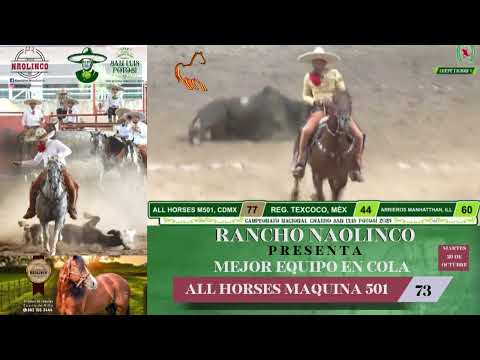06 Mejor Equipo en Colas All Horses Máquina 501 73 pts
