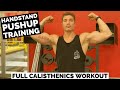 INCREASE YOUR HANDSTAND PUSHUPS WITH THESE EXERCISES | FULL HIGH REP CALISTHENIC WORKOUT