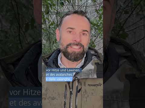 Michael Reinhard, Abteilungsleiter Wald (BAFU) über Schutz und Nutzung des Waldes