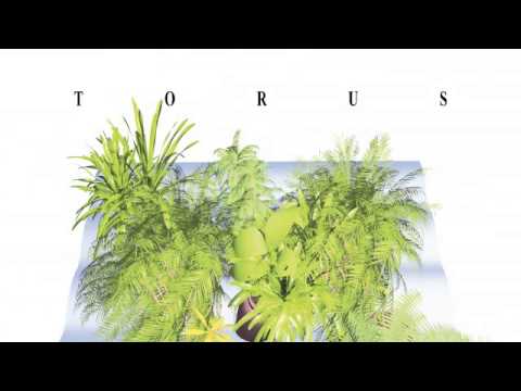 02 Torus - Feeel [Sonic Router Records]