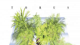 02 Torus - Feeel [Sonic Router Records]