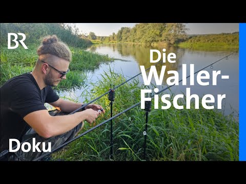 Wels, Hecht & Karpfen angeln: Die Waller-Fischer an der Naab | Unter unserem Himmel | Doku | BR