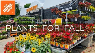 Home Depot Inventory Mid August 2024. Ready for Fall Planting! Shrubs & Perennials Plant Shopping