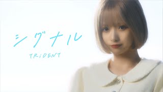 Download lagu TRiDENT『シグナル』 mp3 Download lagu TRiDENT『シグナル』 mp3