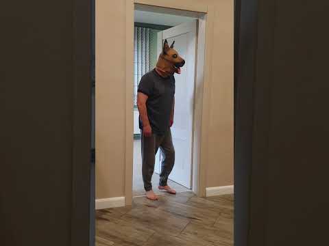 Funny dog barks from behind the door, Marble Truck