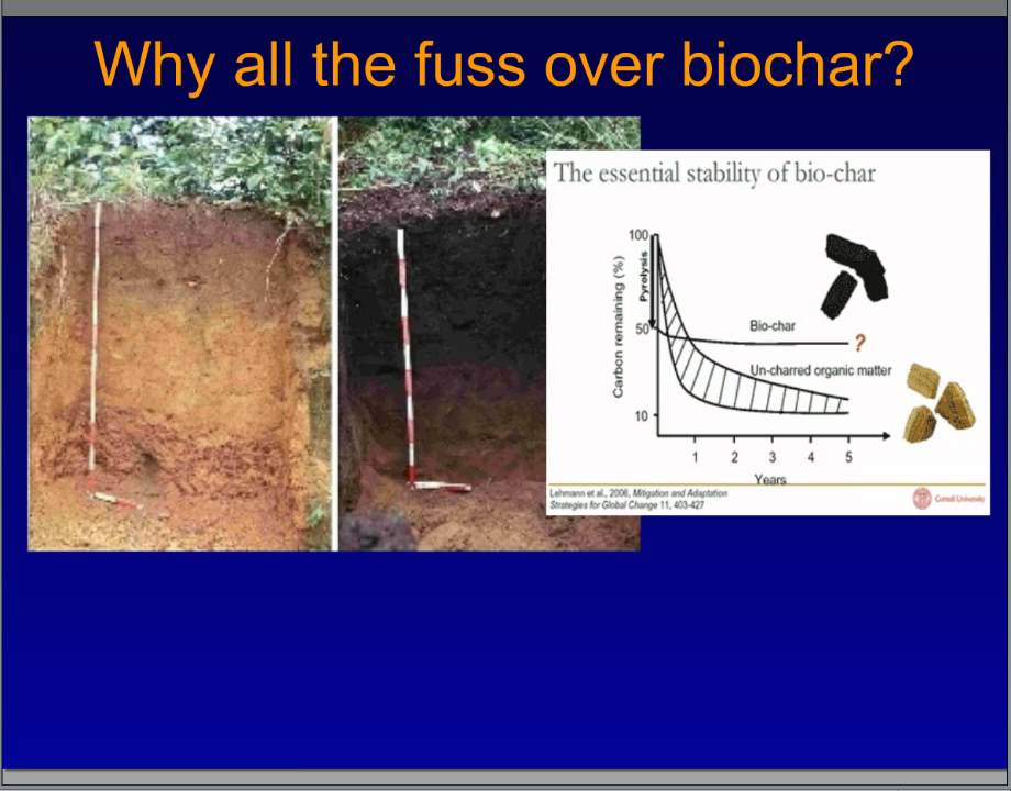 Biochar Basics