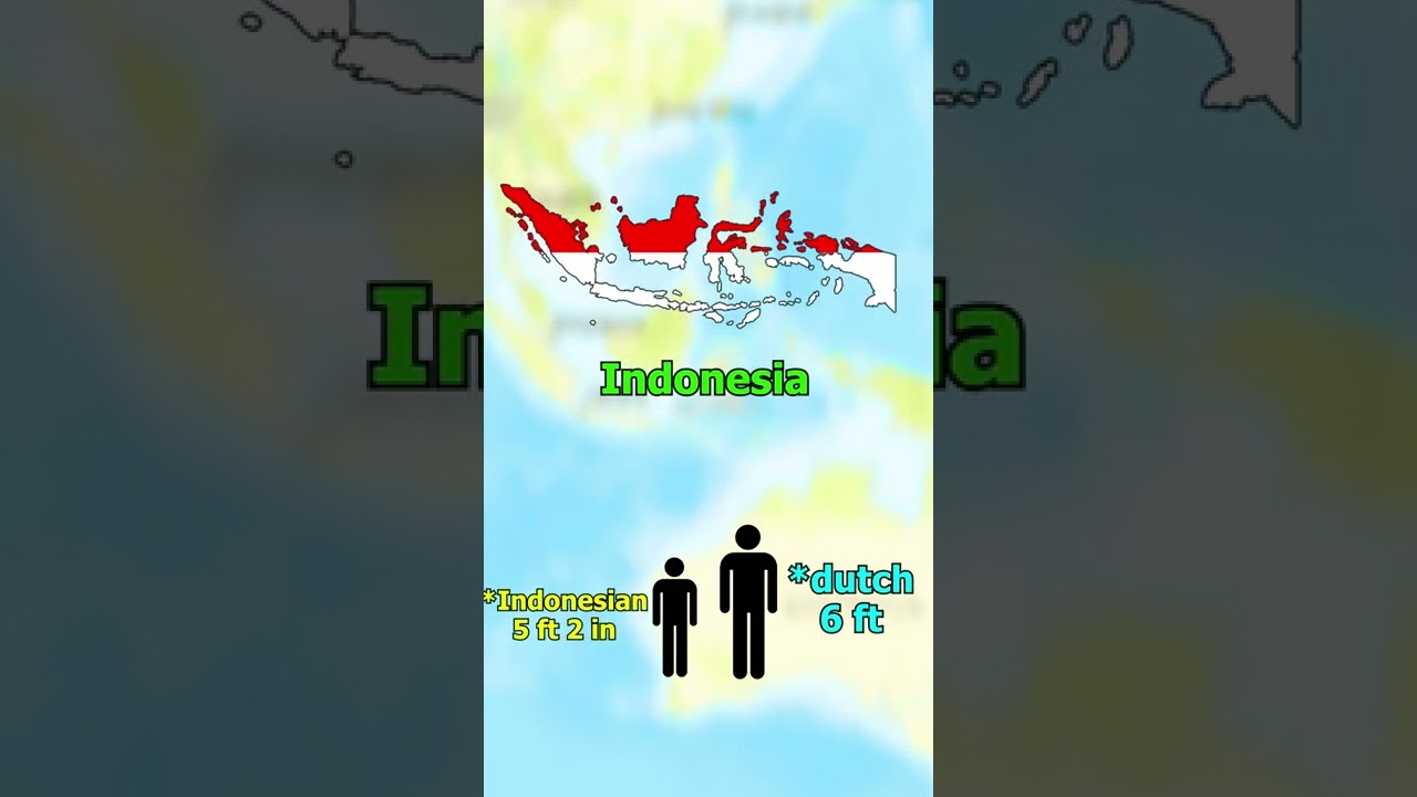 Simak video Apa Bahasa Indonesia Have sekarang Apa Bahasa Indonesia Have