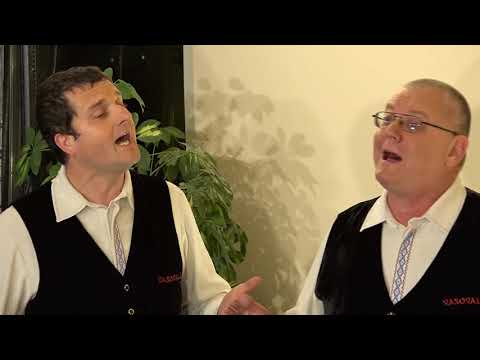 Ansambel Vasovalci - Hrepenenje