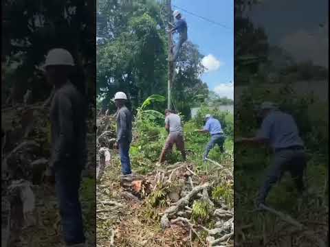 Restablecimiento de energia en Calle Los Mendoza, Santa Rita, Municipio Paz Castillo, Estado Miranda